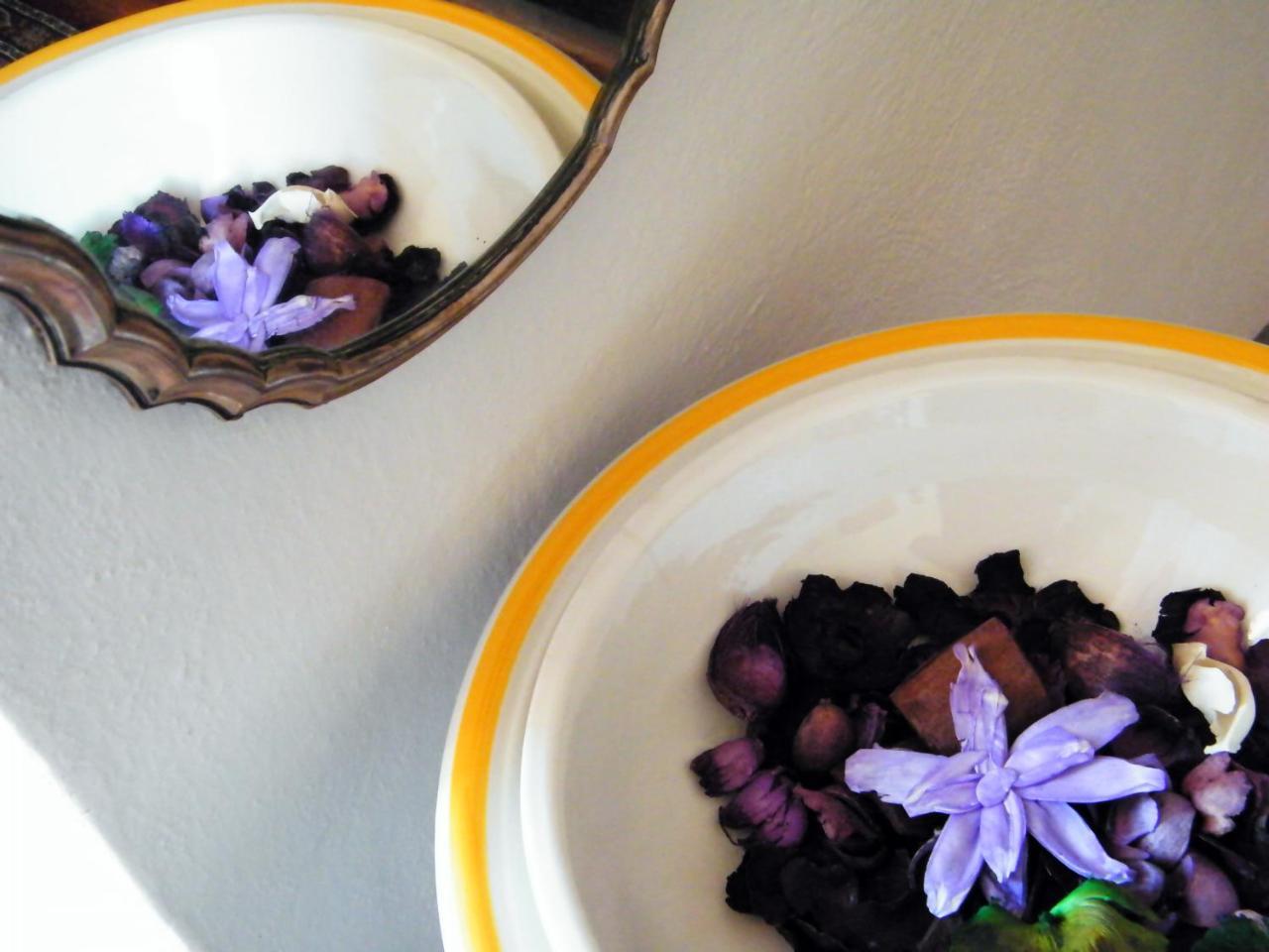 B&B Il Glicine Montefollonico エクステリア 写真