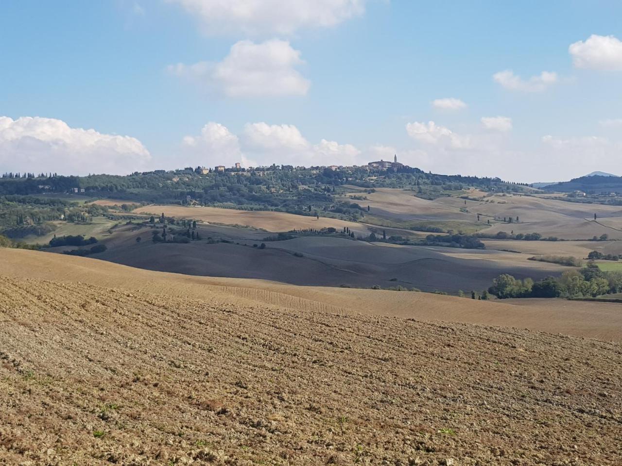 B&B Il Glicine Montefollonico エクステリア 写真