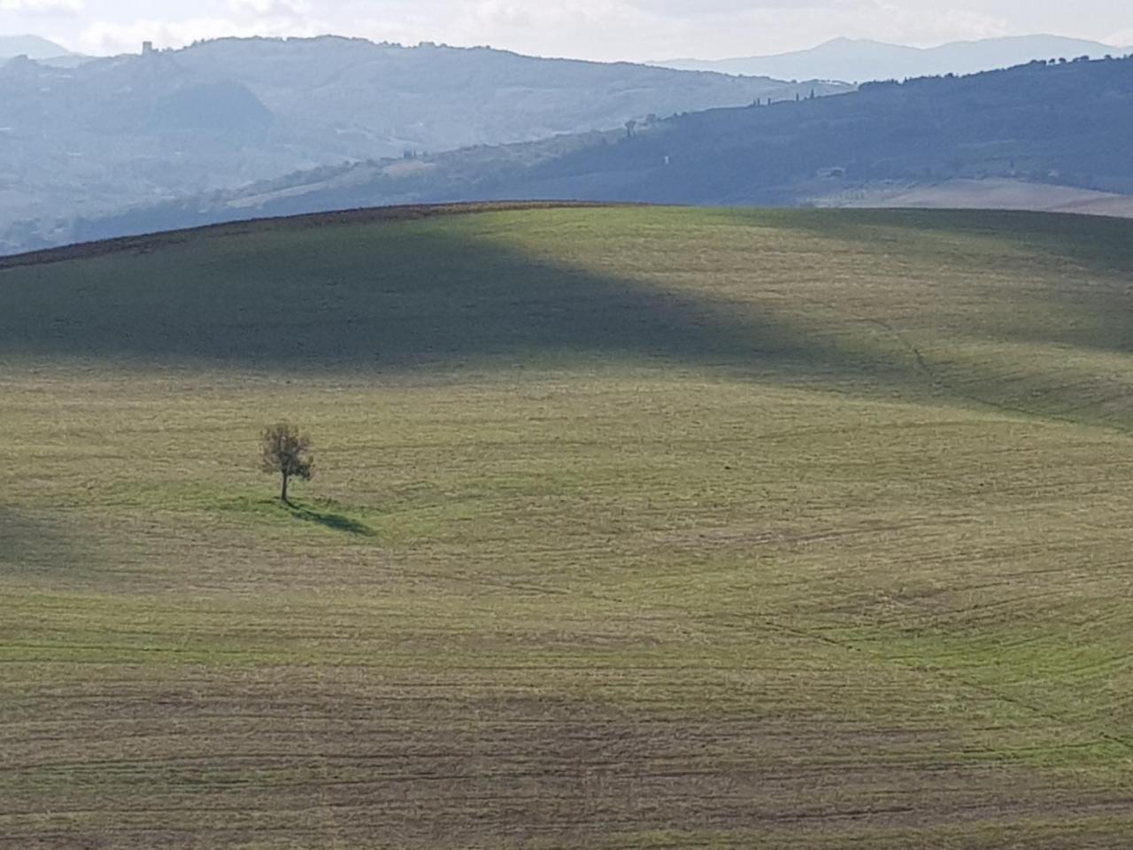 B&B Il Glicine Montefollonico エクステリア 写真