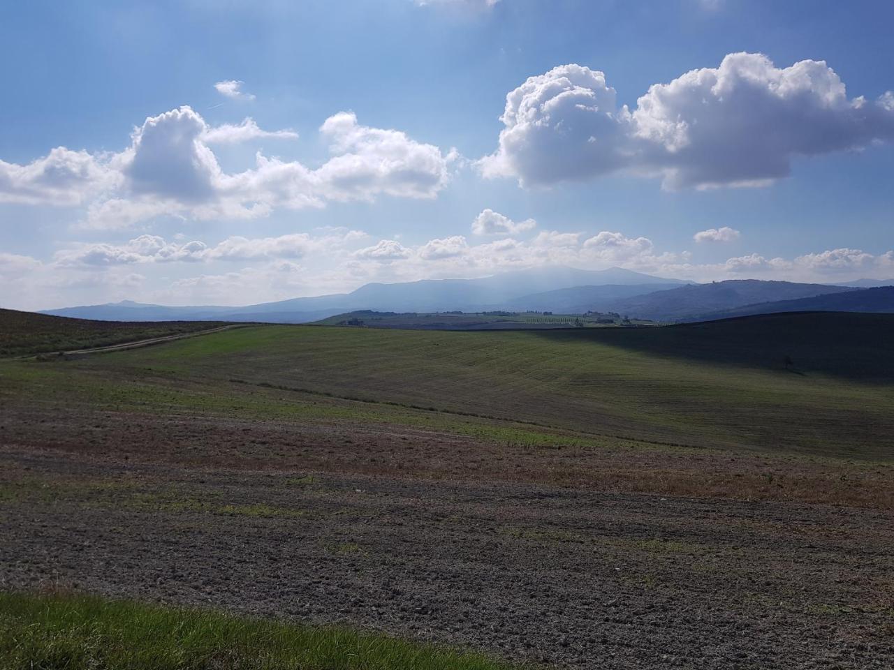 B&B Il Glicine Montefollonico エクステリア 写真