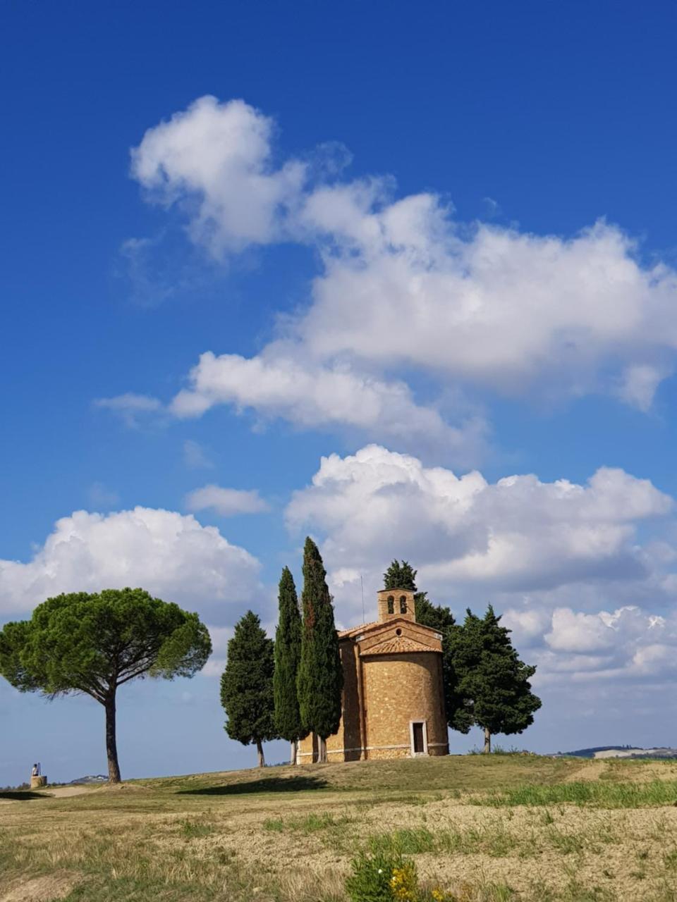 B&B Il Glicine Montefollonico エクステリア 写真