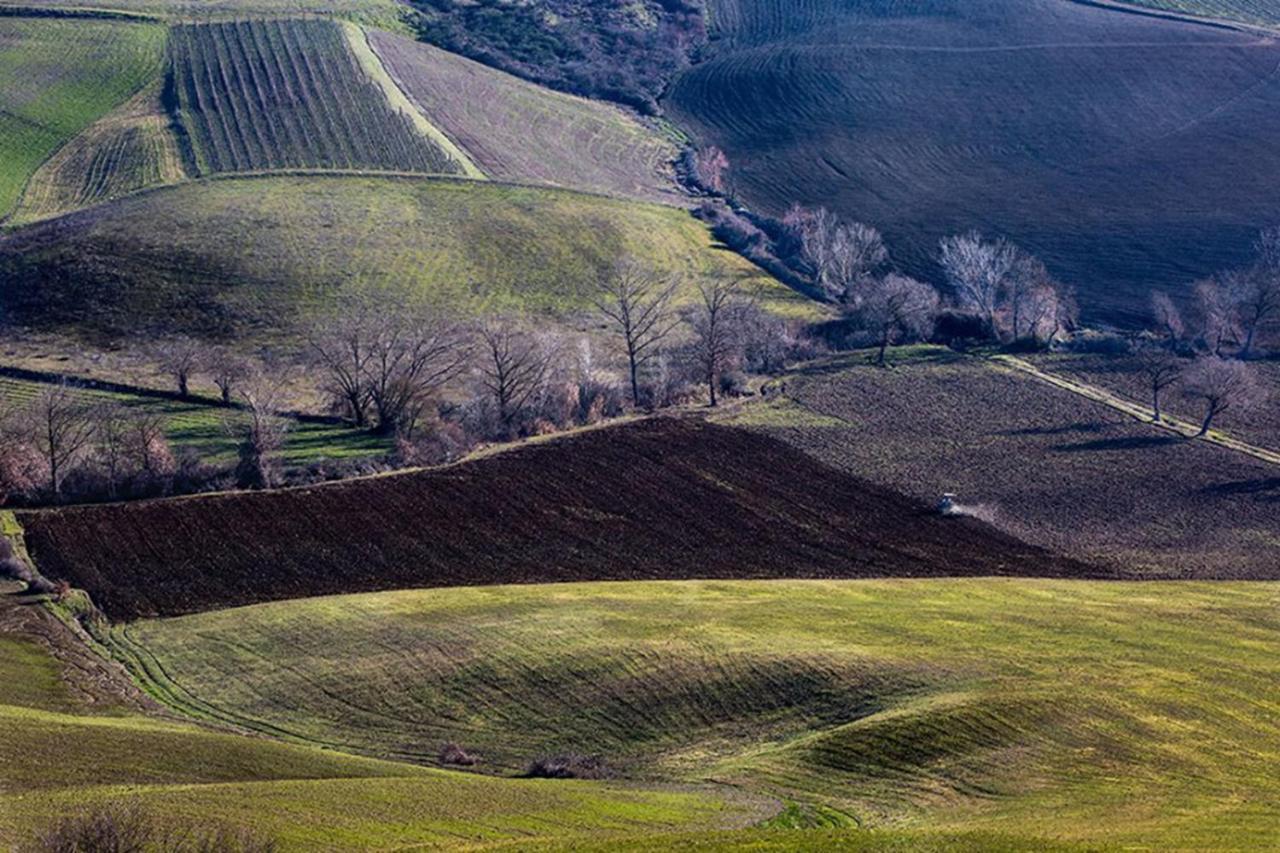 B&B Il Glicine Montefollonico エクステリア 写真
