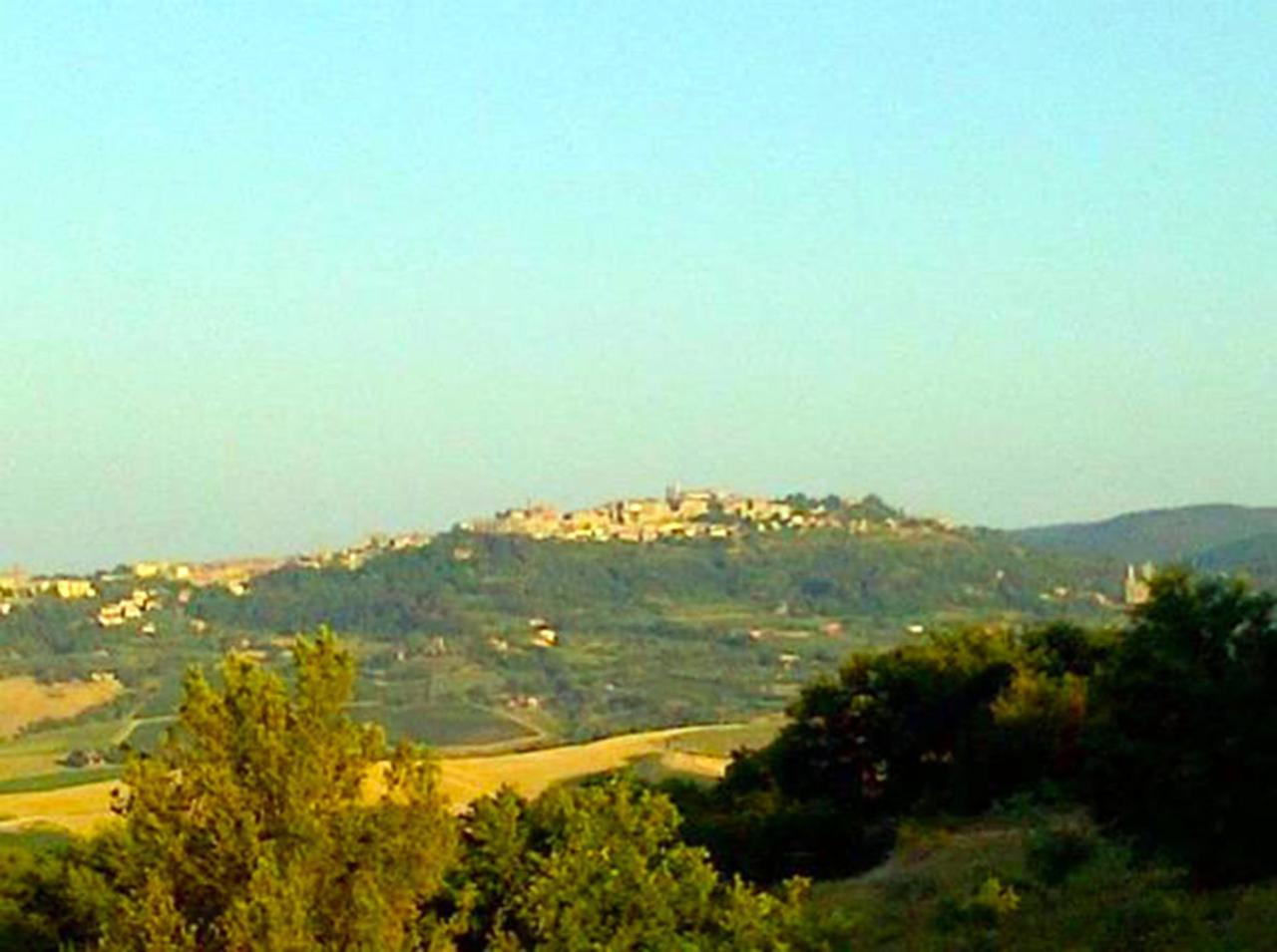 B&B Il Glicine Montefollonico エクステリア 写真