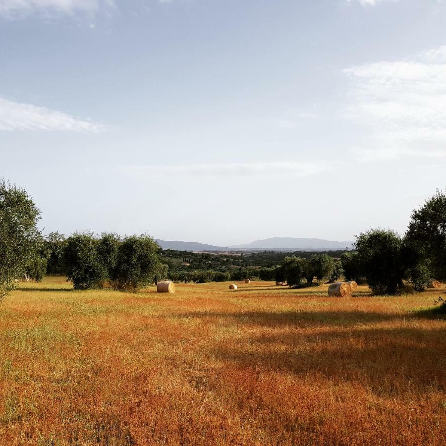 B&B Il Glicine Montefollonico エクステリア 写真