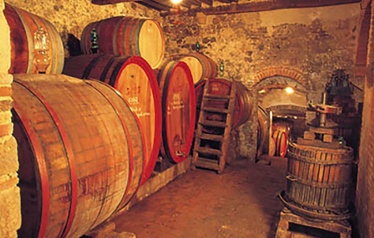 B&B Il Glicine Montefollonico エクステリア 写真